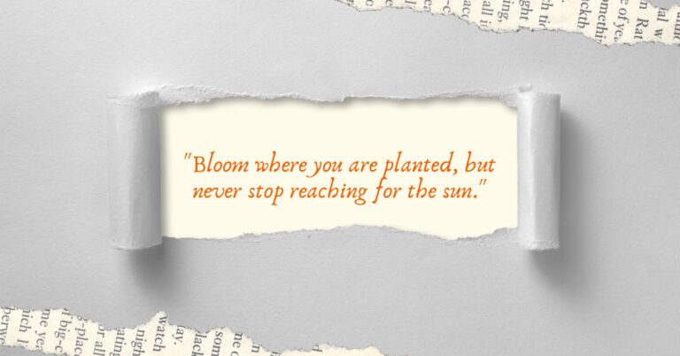 30 Inspirational Quotes for Positive Vibes and Daily Motivation