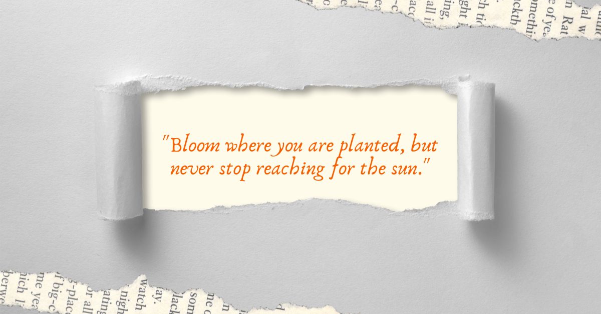 30 Inspirational Quotes for Positive Vibes and Daily Motivation