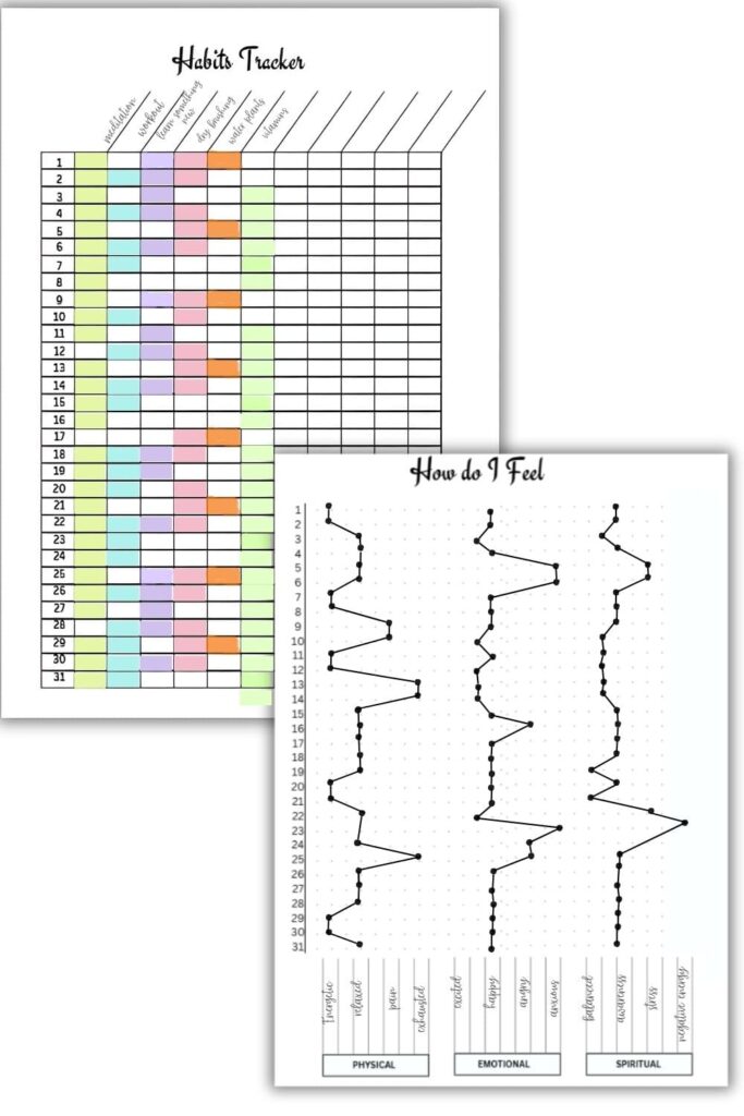 Monthly Habit Tracker and mindfulness check-in pages