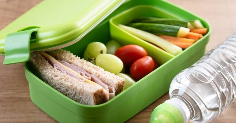 20 Organic, Sugar-Free and Healthy Lunch Snacks for Kids