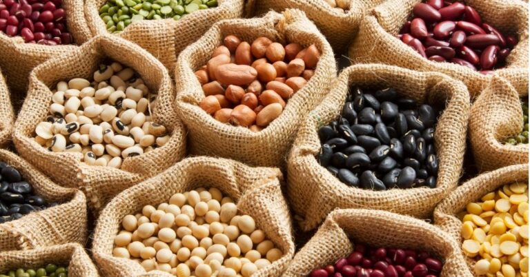 Lentils, chickpeas, soybeans, tempeh, seeds, nuts, quinoa, black beans, kidney beans,