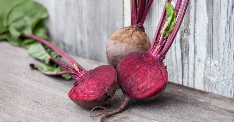 Beets Benefits - How to Use This Nutritious Root Vegetable
